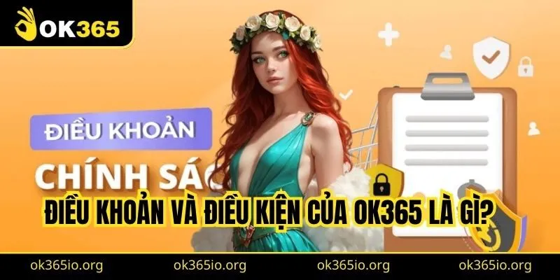 Điều khoản và điều kiện của OK365 là gì?