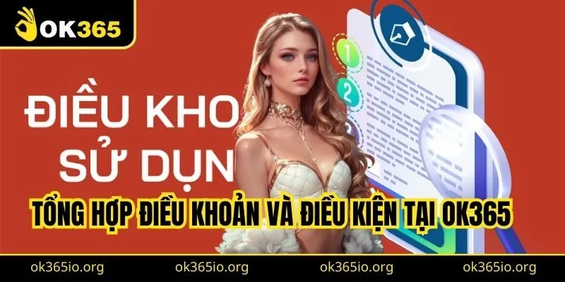 Tổng hợp điều khoản và điều kiện tại OK365